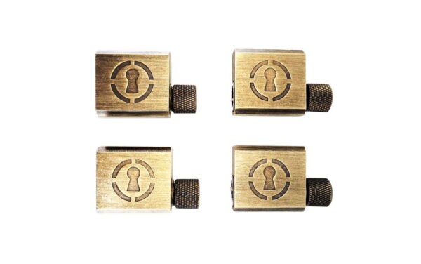 Progressive Training Locks – Basic - Image 3