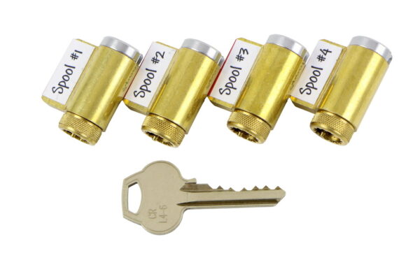 Progressive Training Locks – Advanced